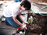 Volunteers get started planting the flowers. © Robert Gary