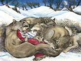 <em>Little Red Reading to the Wild Wolves</em> © Jackie Morris